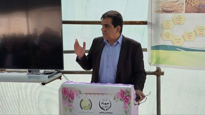 کشاورزی ایلام به سوی محصولهای کمآببر و پولساز در حرکت است