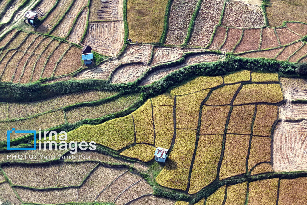 انجام ۱۶۰۰ بازرسی در زمینه توزیع سموم و نهاده‌های کشاورزی اصفهان