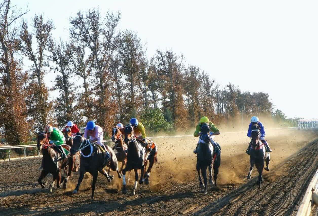 شروع پادشاهی اسب‌ها در ایستگاه هفتم کورس گنبدکاووس+فیلم