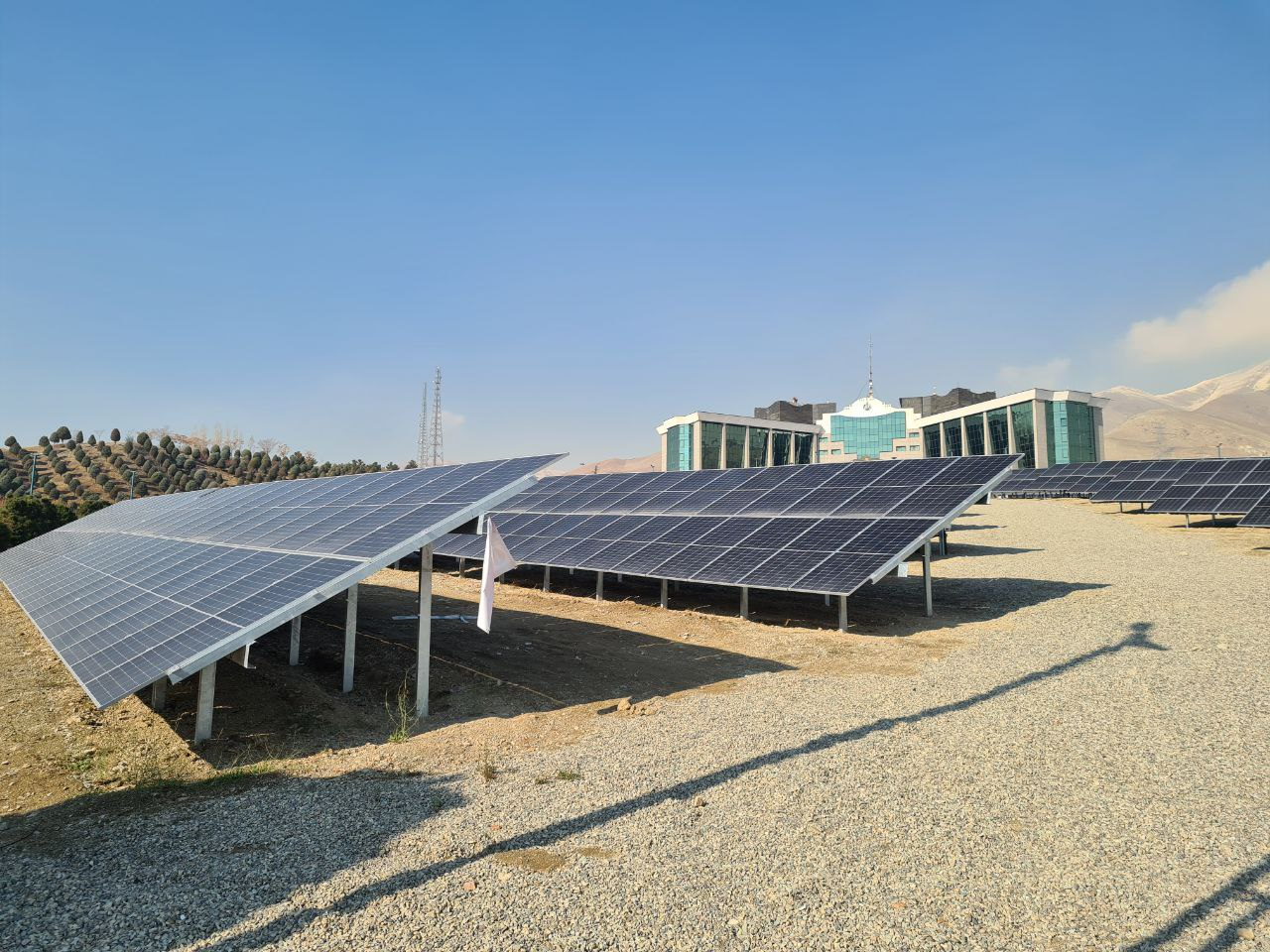 آیا تبدیل ایران به  گورستان تجدیدپذیرها شده است؟