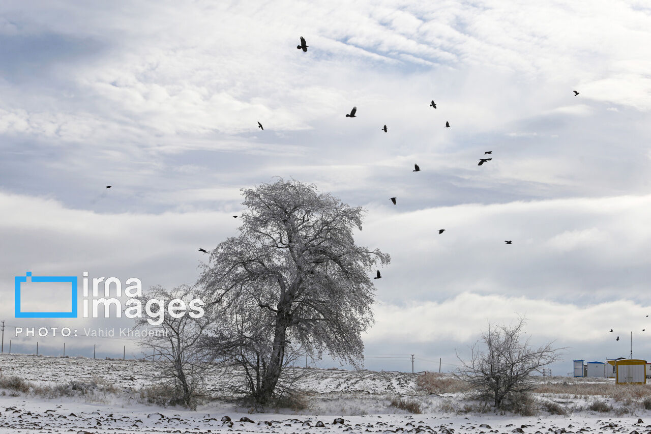 جهش بارندگی در خراسان شمالی؛ از ۶ به ۲۰ میلی‌متر