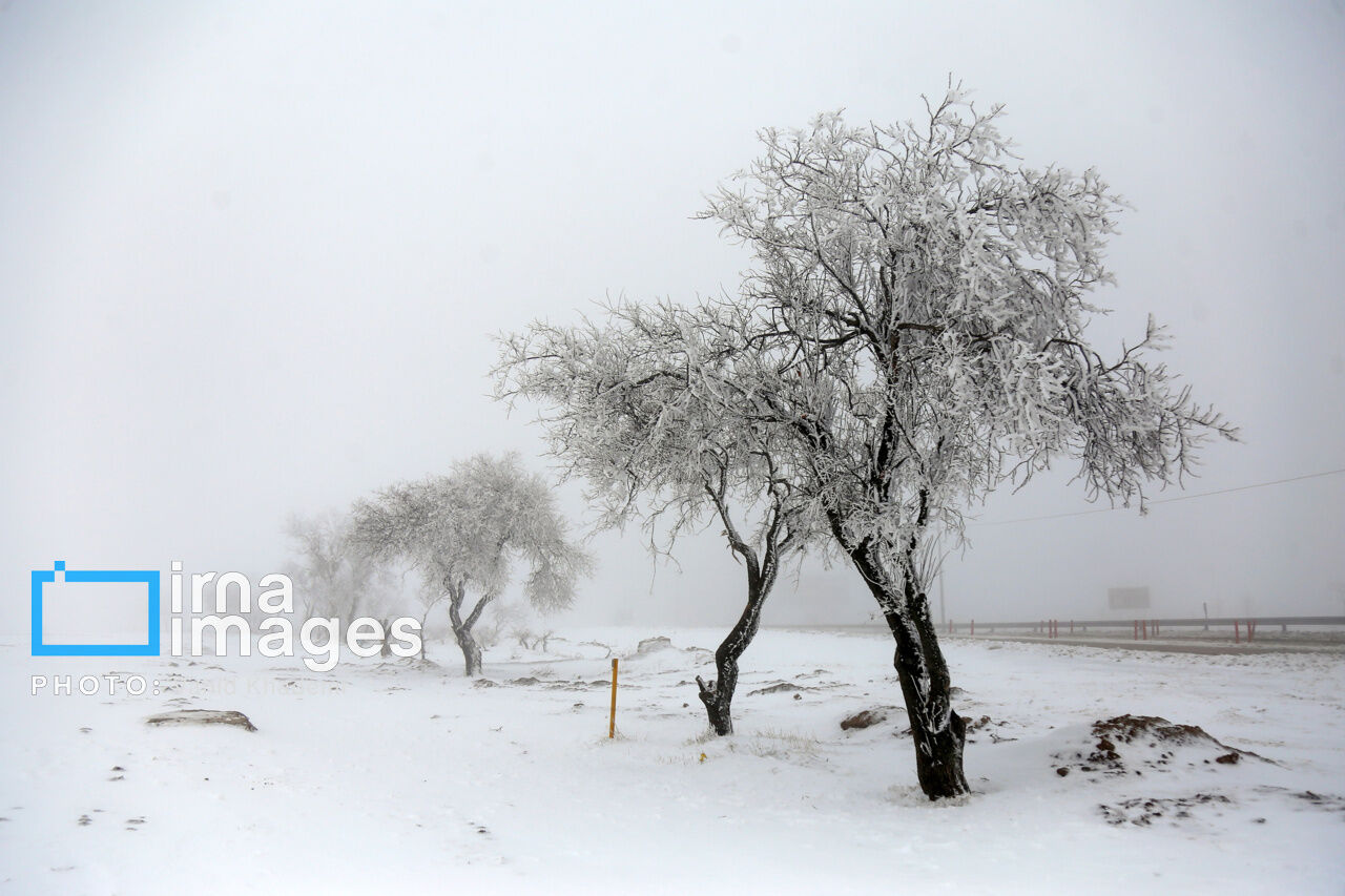 ۱۲ میلیمتر برف در چناران شهر خراسان شمالی ثبت شد 