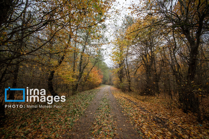 «آبشار سوادکوه» آسفالت نمی خواهد