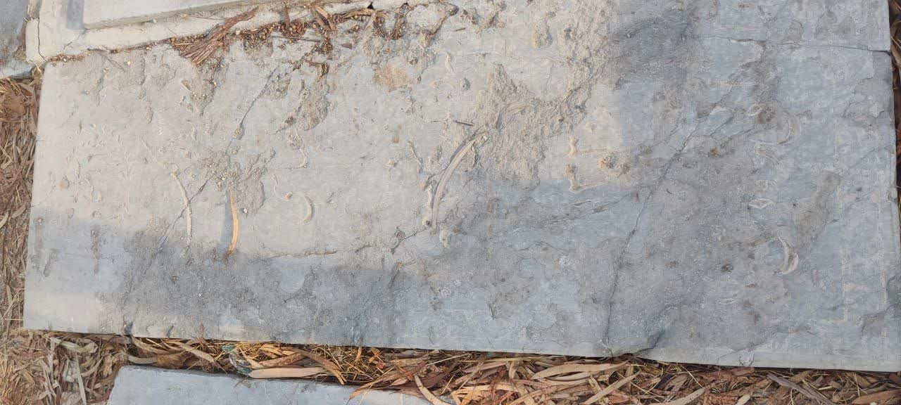 آرامستان تاریخی ابنبابویه در خطر نیست/ سنگها صیانت میشوند، نه نابود