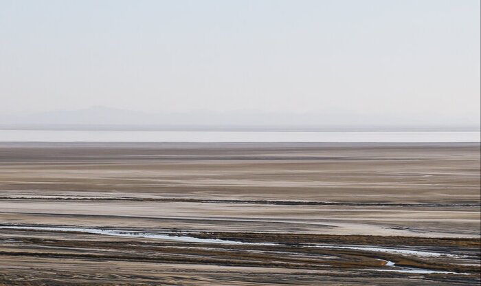 فریاد خاک؛ نبرد زندگی با مرگ در تالابهای فارس