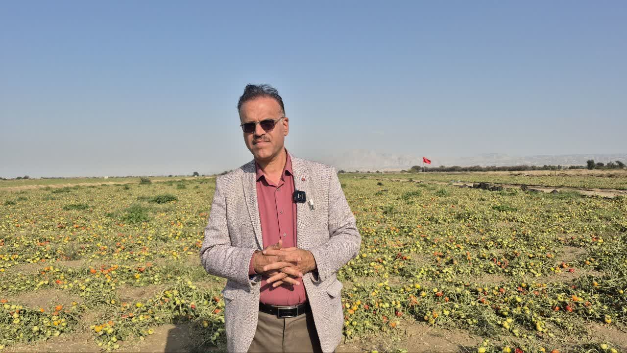 خسارت کشاورزان بوشهر در هیات دولت بررسی میشود خسارت کشاورزان بوشهر در هیات دولت بررسی میشود