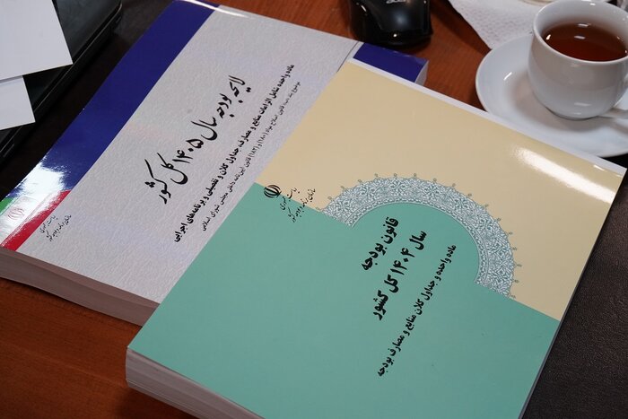 حذف ردیفهای زائد کافی نیست/ اصلاحات در بودجه ادامه یابد