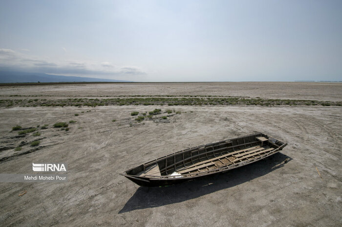 جدایی تلخ از مادر