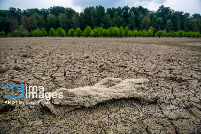 خست پاییز برای مازندران