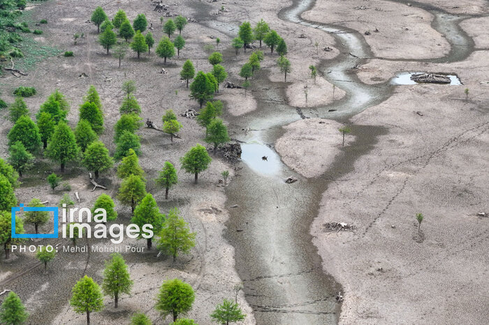 خست پاییز برای مازندران