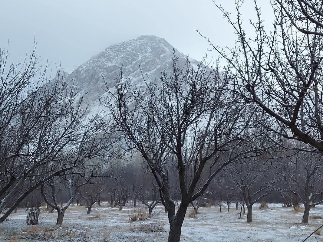 یک سوم مساحت خلخال منطقه حفاظت شده است