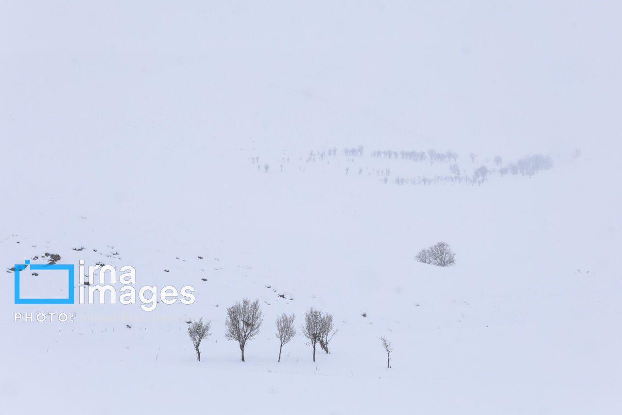 کوهرنگ رکورددار بیشترین بارش سامانه اخیر در چهارمحال و بختیاری