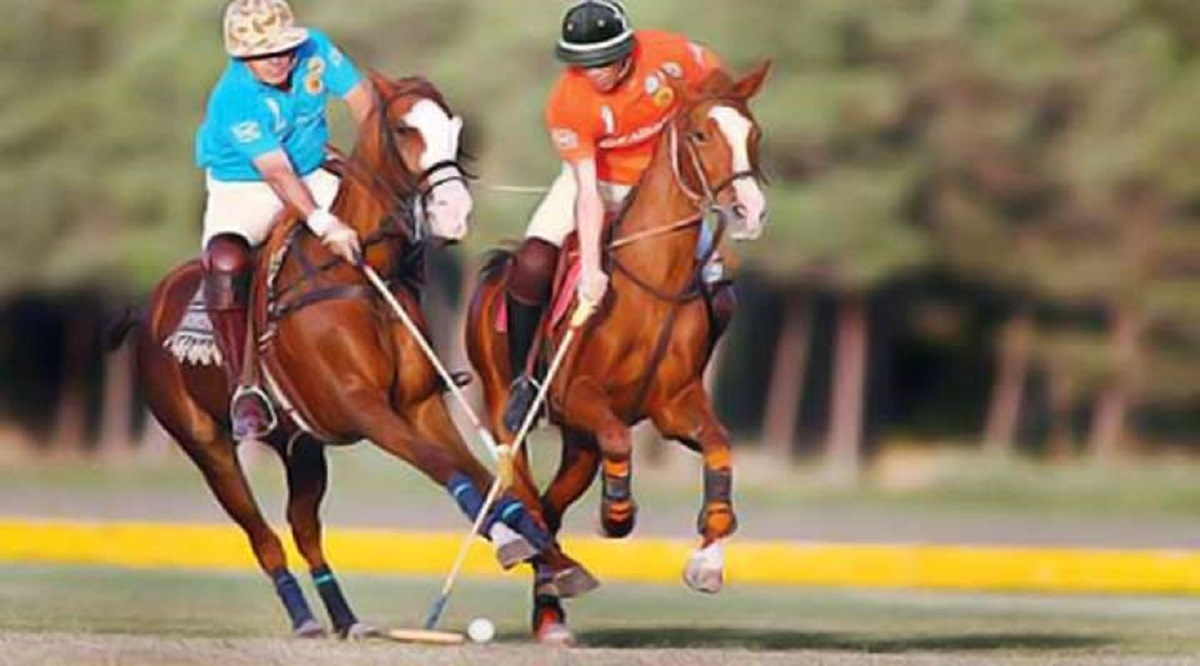 تیم هدف شمیران صدرنشین جدول لیگ تیراندازی استان تهران شد