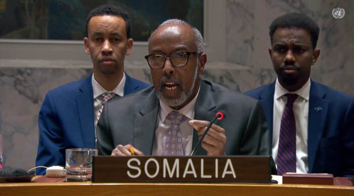 جدال نمایندگان سومالی و اسرائیل در شورای امنیت؛ هشدار سازمان ملل و حمایت آمریکا