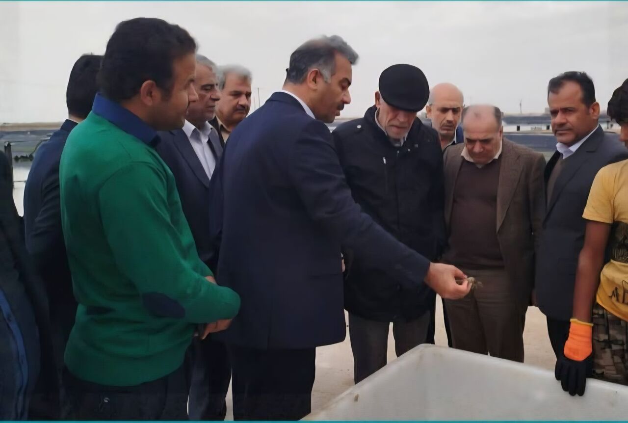 عبدالعلیزاده: توسعه پرورش میگو ،زمینه ساز تحقق اقتصاد دریامحور است