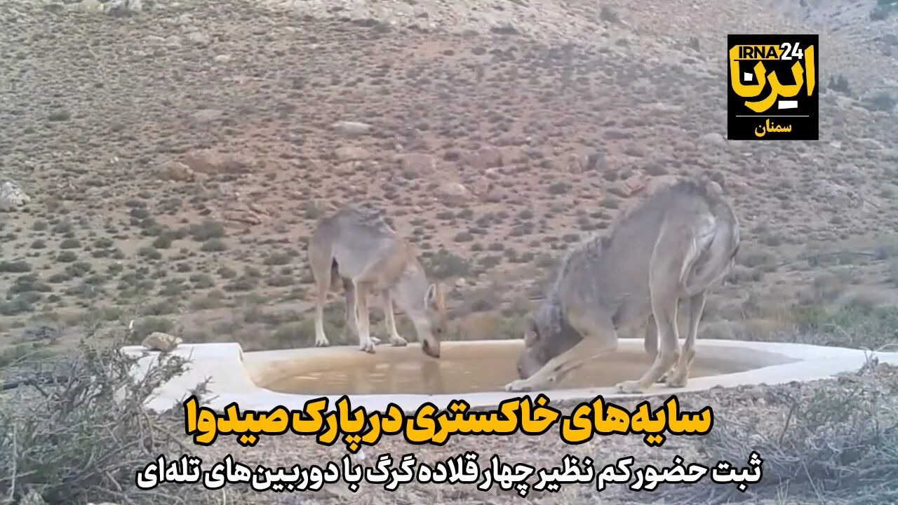 فیلم | سایه‌های خاکستری در پارک صیدوای سمنان