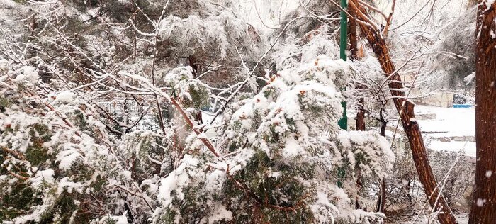 مدارس ابتدایی پردیس در روز یکشنبه حضوری شد