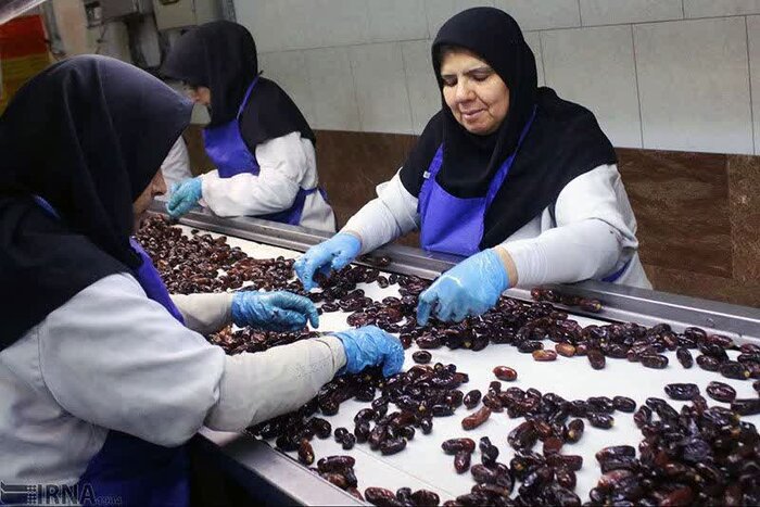 طعمهای نخلستان هرمزگان؛ از پیارمِ لوکس تا خنیزیِ شیرین
