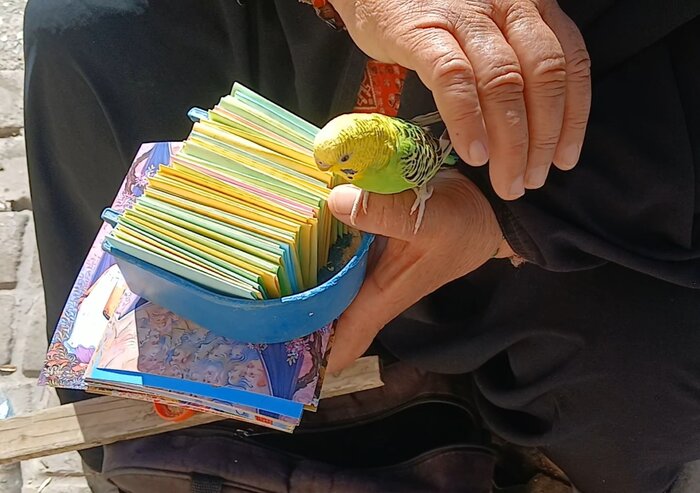 رازهای یک گفتوگوی حافظانه؛ از باور دیرینه تا فالهای شگفت