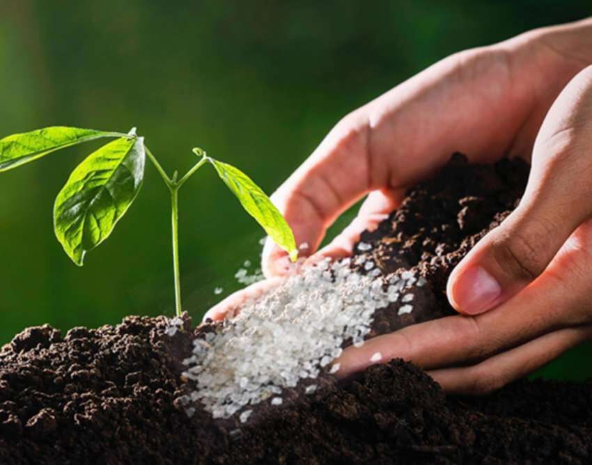 مدیریت مصرف آب کشاورزی با هیدروژل‌های زیست‌تخریب‌پذیر محققان دانشگاهی