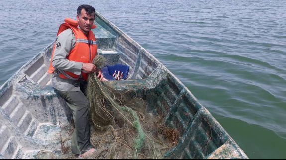 درخواست سازمان محیطزیست از شیلات برای کاهش تلفات پرندگان شیرجهرو در تورهای صیادی