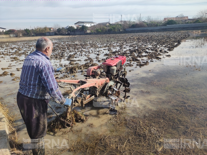 مدیریت منابع آبی آب‌بندان‌ها؛ راهکار اصولی برای مبارزه با خشکسالی در مازندران