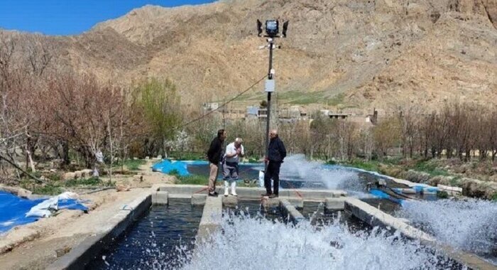 ۳۵ مزرعه پرورش ماهی در ملایر در دست اجرا قرار دارد