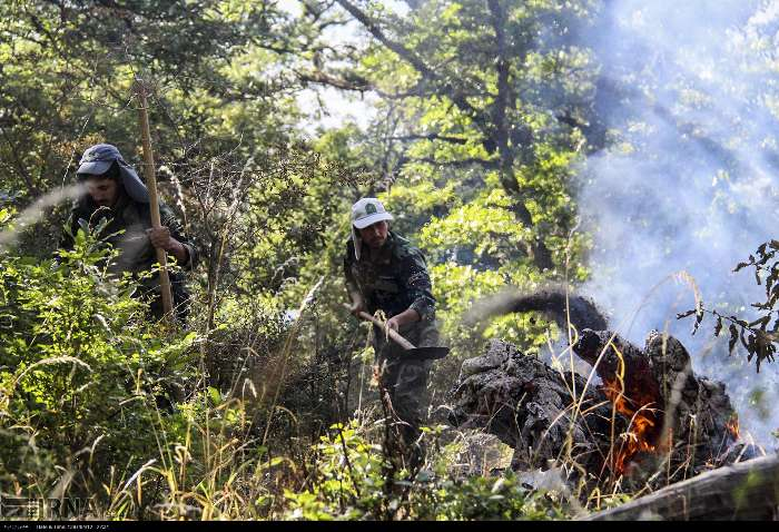 محیط زیستی حیاتبخش با رویکردی جدید در کرمان