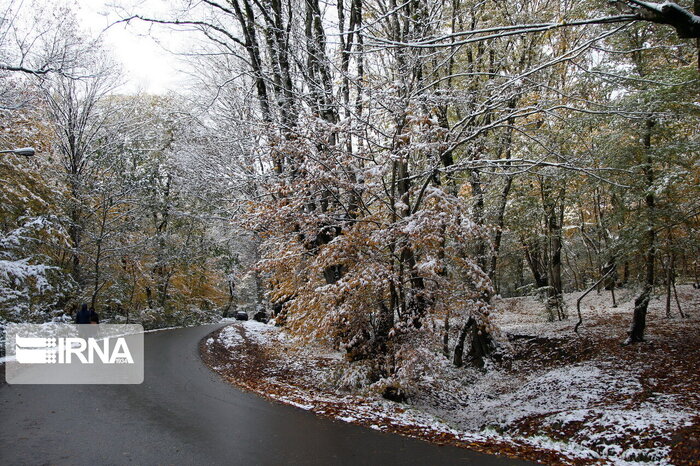 برف و کولاک جاده‌های روستایی بالادست مازندران را مسدود کرد