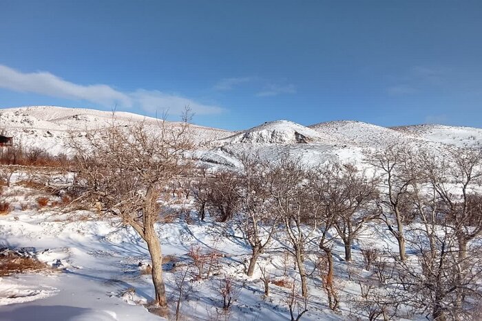 ثبت بارش‌های چشمگیر در جنوب کرمان؛ منوجان و قلعه‌گنج در صدر جدول بارندگی‌ها