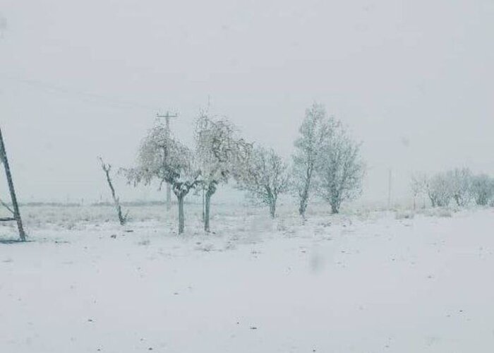 فعالیت مدارس سیستان و بلوچستان روز دوشنبه غیرحضوری شد