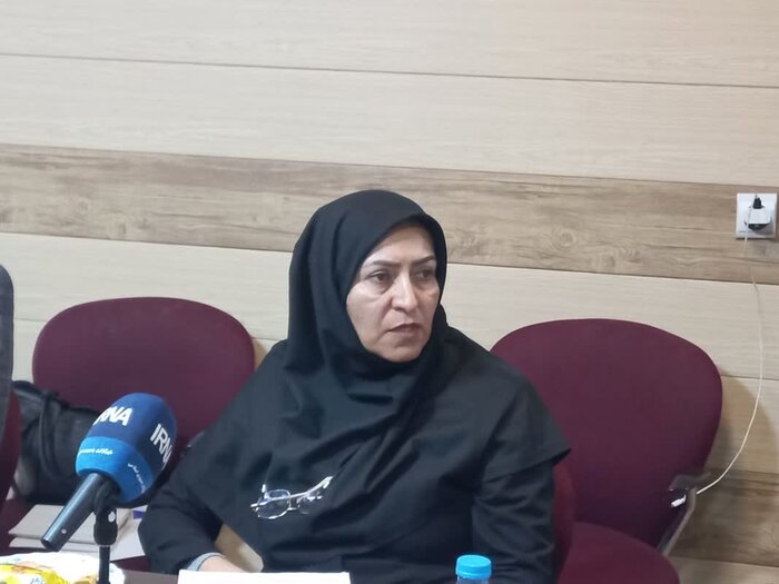 میزگرد ایرنا | توسعه صنعتی زیر ذرهبین قانون هوای پاک