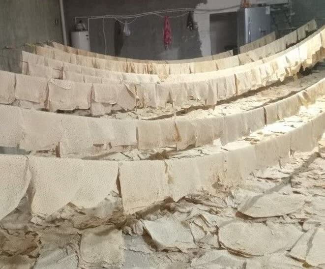 خبرهای کوتاه سه‌شنبه استان مرکزی؛ این صفحه در حال به‌روزرسانی است