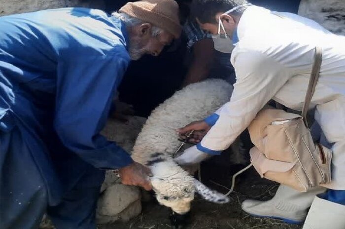 اخبار کوتاه سیستان و بلوچستان در روز سه‌شنبه هفتم بهمن