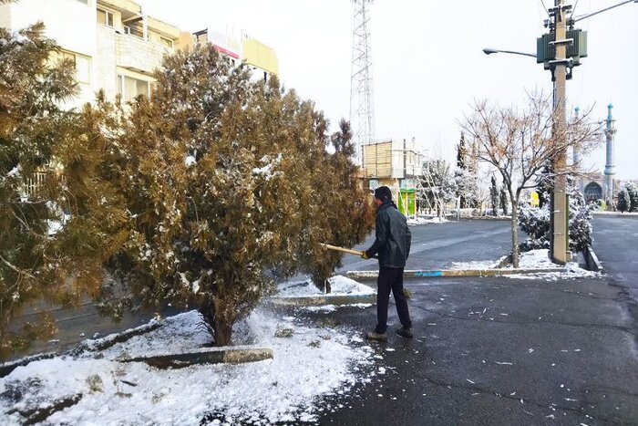 انجام وظیفه پاکبانانِ بیرجند در سوز سرما؛ روایت تلاش خاموش در صبحی برفی