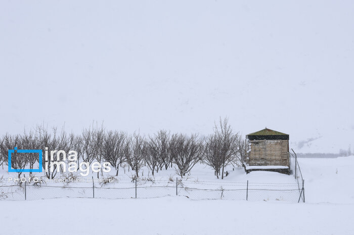 اخبار کوتاه سمنان در آیینه ایرنا؛ کسب طلا در پارالمپیاد استعدادهای زیر ۲۳ سال کشور