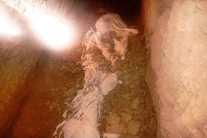 بیرجند در بنبست توسعه آرامستان + فیلم