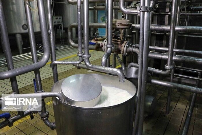 جهش خروج شیر از خراسانشمالی؛ رونق تولید یا زنگ خطر صنعتی؟