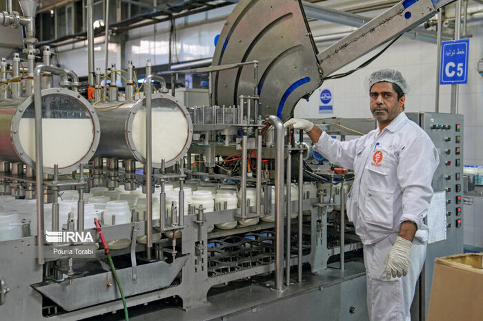 جهش خروج شیر از خراسان‌شمالی؛ رونق تولید یا زنگ خطر صنعتی؟