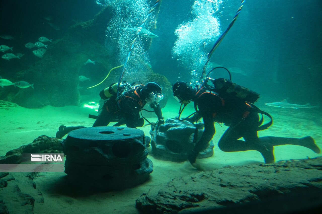 حدود ۲۰۰ زیستگاه مصنوعی بازسازی ذخایر آبزیان در قشم ایجاد شد