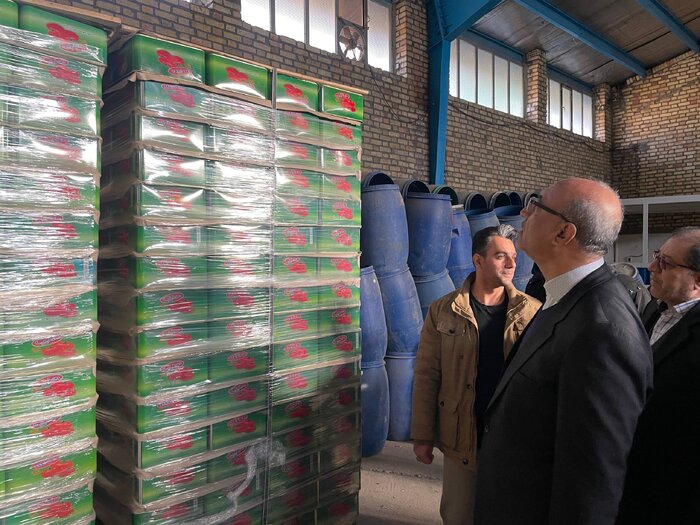 استاندار کرمانشاه: فعالسازی واحدهای راکد تولیدی استان در اولویت است