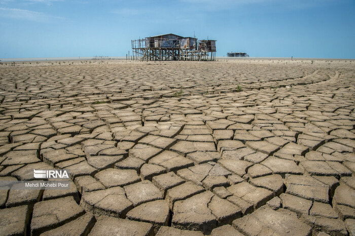 میانکاله روی رینگ حق خوری