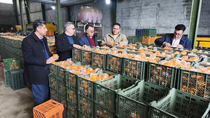 میوه شب عید