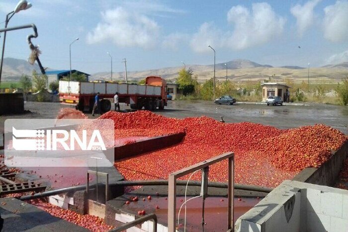 فعالیت ۲۵۶ واحد صنایع تبدیلی با سرمایهگذاری ۷۷۱ هزار میلیارد ریال در هرمزگان