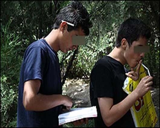 وقتی «گل» زندگی جوانان را تسخیر می‌کند