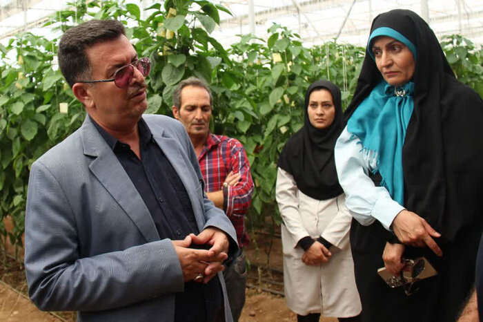 ۵ میلیون دلار صرفهجویی ارزی با تولید بذر پایه در اصفهان