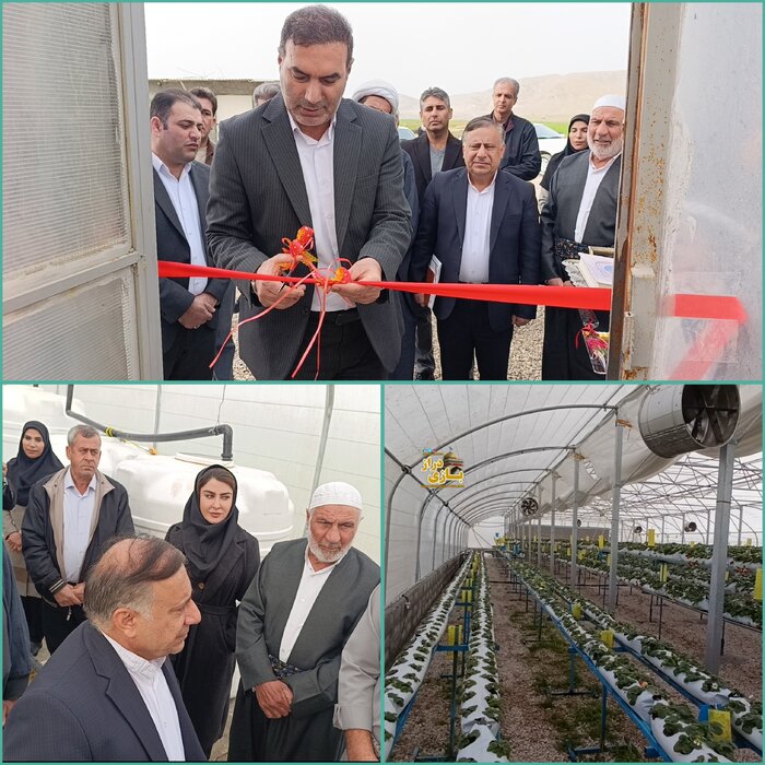 دومین روز دهه فجر؛ اجرای همزمان طرحهای عمرانی و برنامههای فرهنگی در غرب کرمانشاه