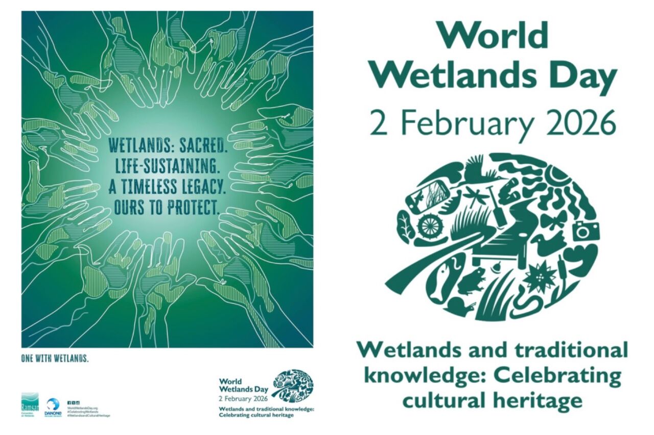 نجات تالاب‌ها در گرو تبادل دانش جهانی و همکاری‌های مشترک بین‌المللی