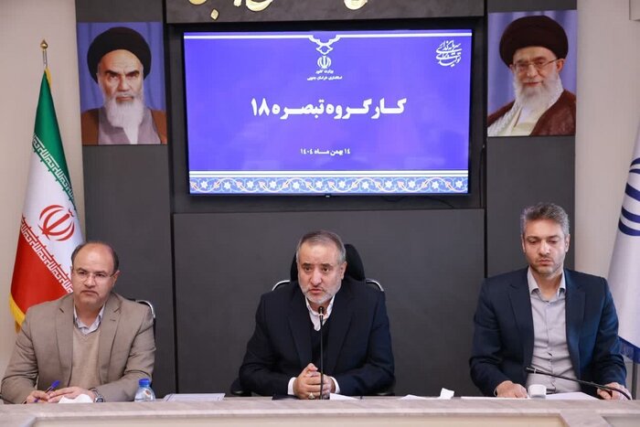 جذب ۱۰۰ درصدی تسهیلات تبصره ۱۸ در خراسان جنوبی