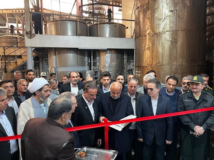 وزیر تعاون: تقویض اختیار به استانها اصل مهم تحقق رونق اقتصادی است